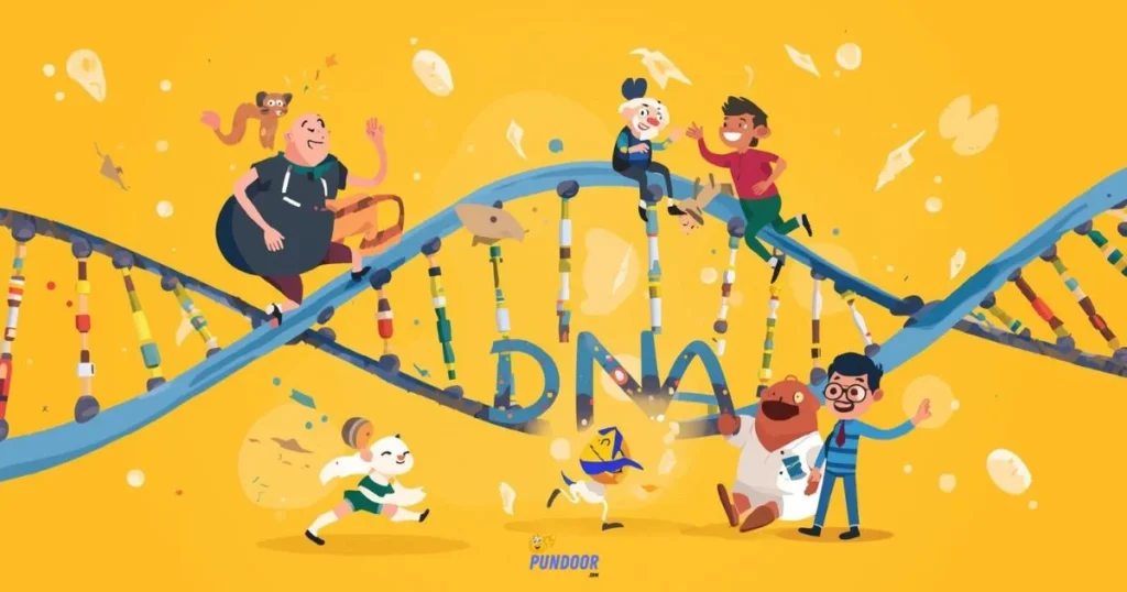 Fun Facts About Dna